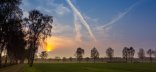 Sonnenuntergang über Bäumen Sonnenuntergang mit Bäumen und Feldern im Vordergrund