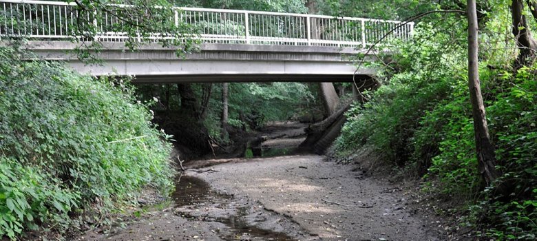 Im ausgetrockneten Goorbach sind nur noch kleine Pfützen Wasser zu sehen.