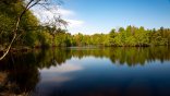 Auf diesem Bild sieht man einen See und weiter hinten sieht man Fichten Auf diesem Bild sieht man einen See und weiter hinten sieht man Fichten