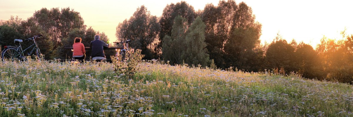 Auf dem Bild sieht man eine Wiese wo im Hintergrund Bäume zu sehen sind Auf dem Bild sieht man eine Wiese wo im Hintergrund Bäume zu sehen sind