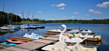 Verschiedene Tretboote, z.B. in Form eines Schwans, und einige Segelboote am Bootsanlegesteg des Drilandsees