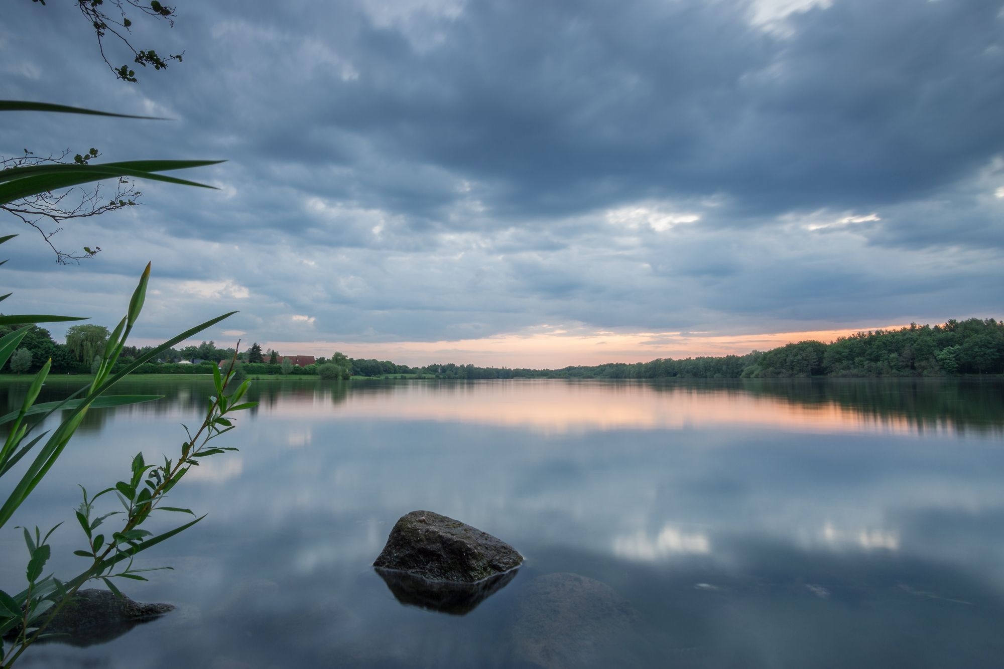 Blick über den Drilandsee in der Abenddämmerung. Der wolkenbehangene Himmel spiegelt sich auf der Wasseroberfläche wieder. Das Bild ist von Grünzeug umrahmt.