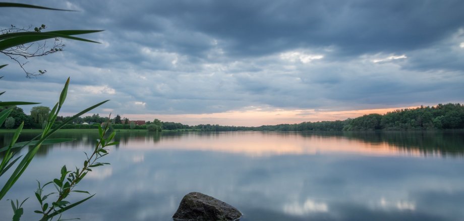 Blick über den Drilandsee in der Abenddämmerung. Der wolkenbehangene Himmel spiegelt sich auf der Wasseroberfläche wieder. Das Bild ist von Grünzeug umrahmt.