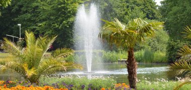 Sprühende Wasserfontäne im Stadtpark mit zwei Palmen im Vordergrund.