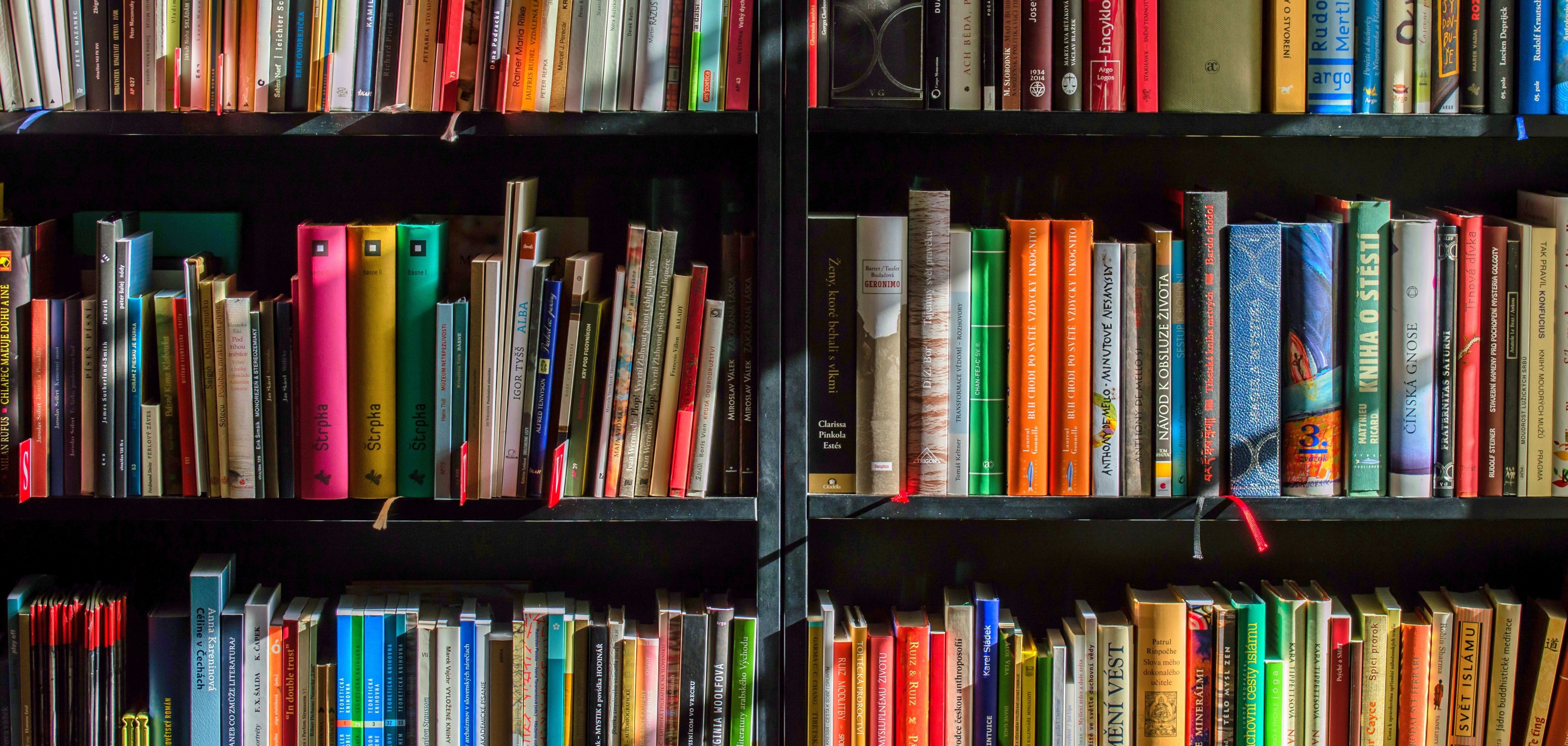 Zwei Regale sind mit diversen Büchern gefüllt.