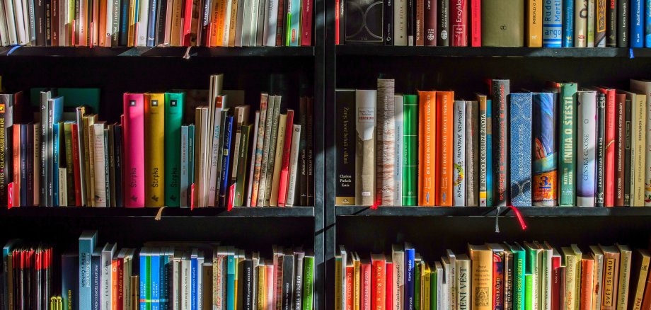 Zwei Regale sind mit diversen Büchern gefüllt.