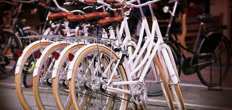 Auf dem Foto sind mehrere weiße Fahrräder zu sehen, die nebeneinander gereiht stehen. Sie haben einen braunen Sattel.