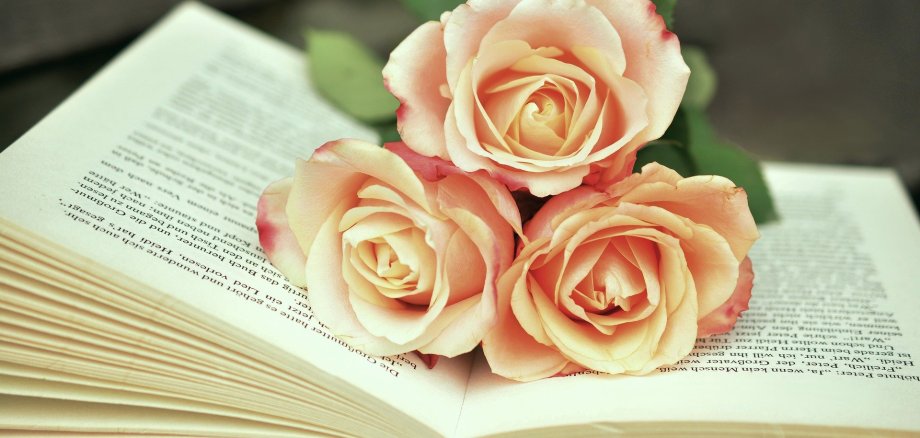 Auf einem aufgeschlagenen Buch liegen drei Rosen.