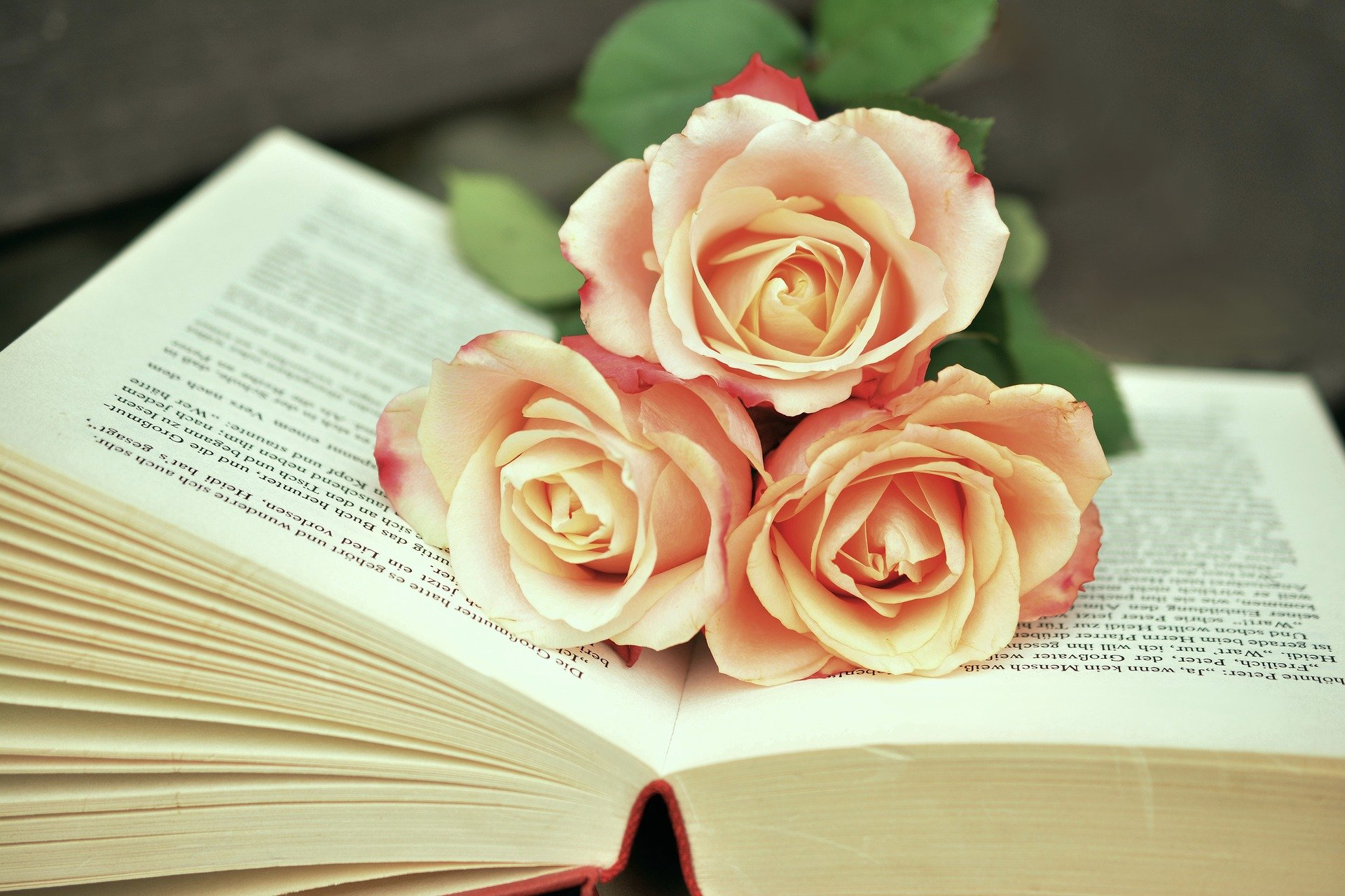 Buch mit Rosen Auf einem aufgeschlagenen Buch liegen drei Rosen.