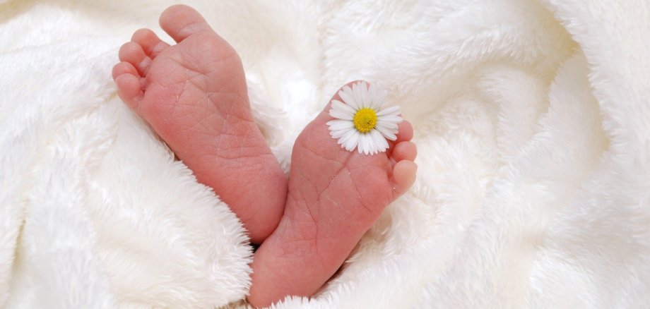 Die Füße eines Babys mit einem Gänseblümchen zwischen den Zehen.