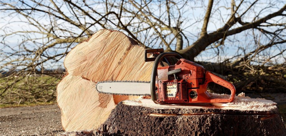 Gefällter Baum mit einer Kettensäge