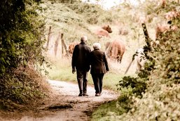 Es ist ein Ehepaar dargestellt welches durch eine Baumgalerie spaziert