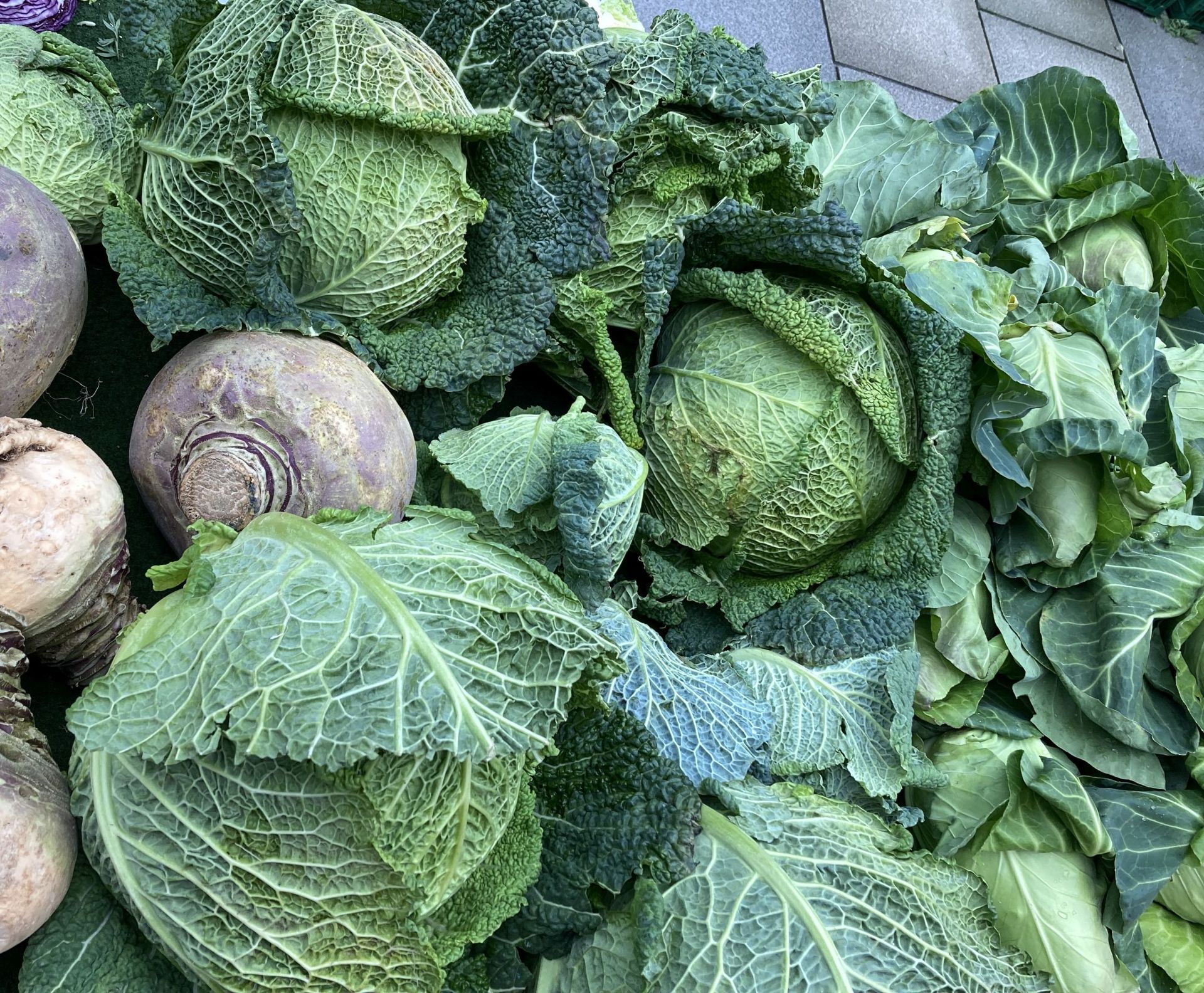 Wintergemüse mit Kohl und Rüben