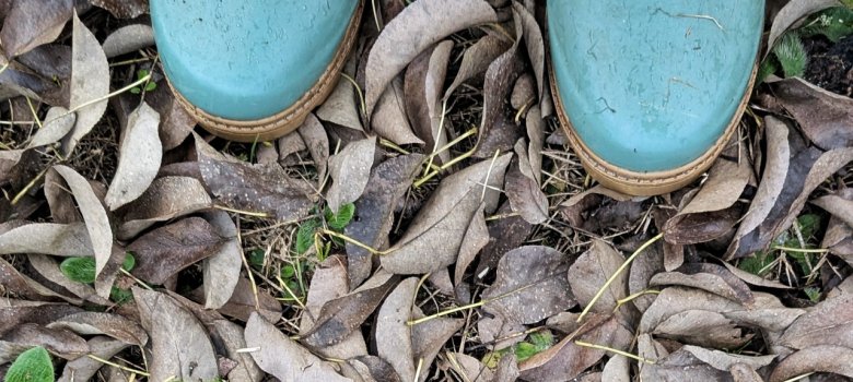 Gummistiefel im Herbstlaub Gummistiefel im Herbstlaub