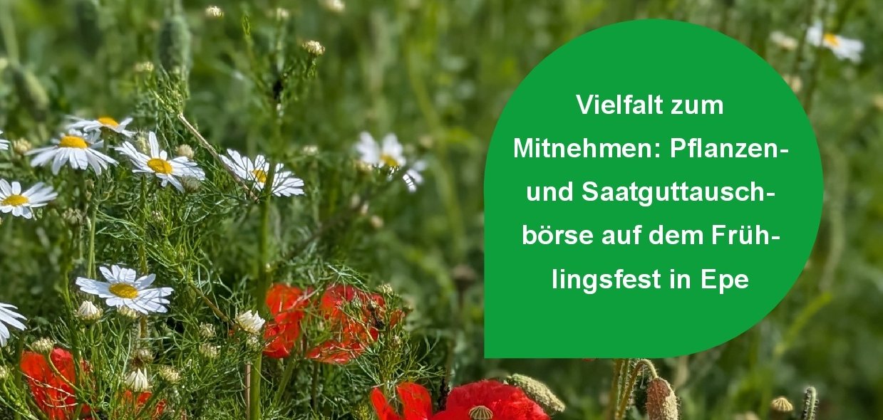 Bild mit Blumen und Text zur Pflanzen- und Saatguttauschbörse