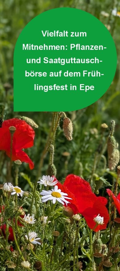 Bild mit Blumen und Text zur Pflanzen- und Saatguttauschbörse