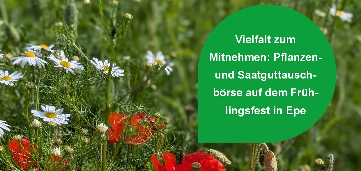 Bild mit Blumen und Text zur Pflanzen- und Saatguttauschbörse