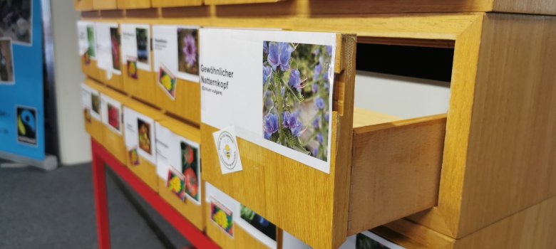 Saatgutbörse Eine Reihe von Streifen in Blau- und Rottönen visualisieren den Temperaturanstieg in Gronau.