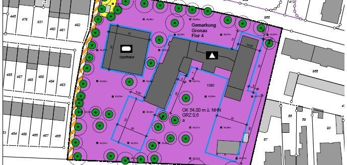 Ausschnitt aus dem Bebauungsplan Nr. 305