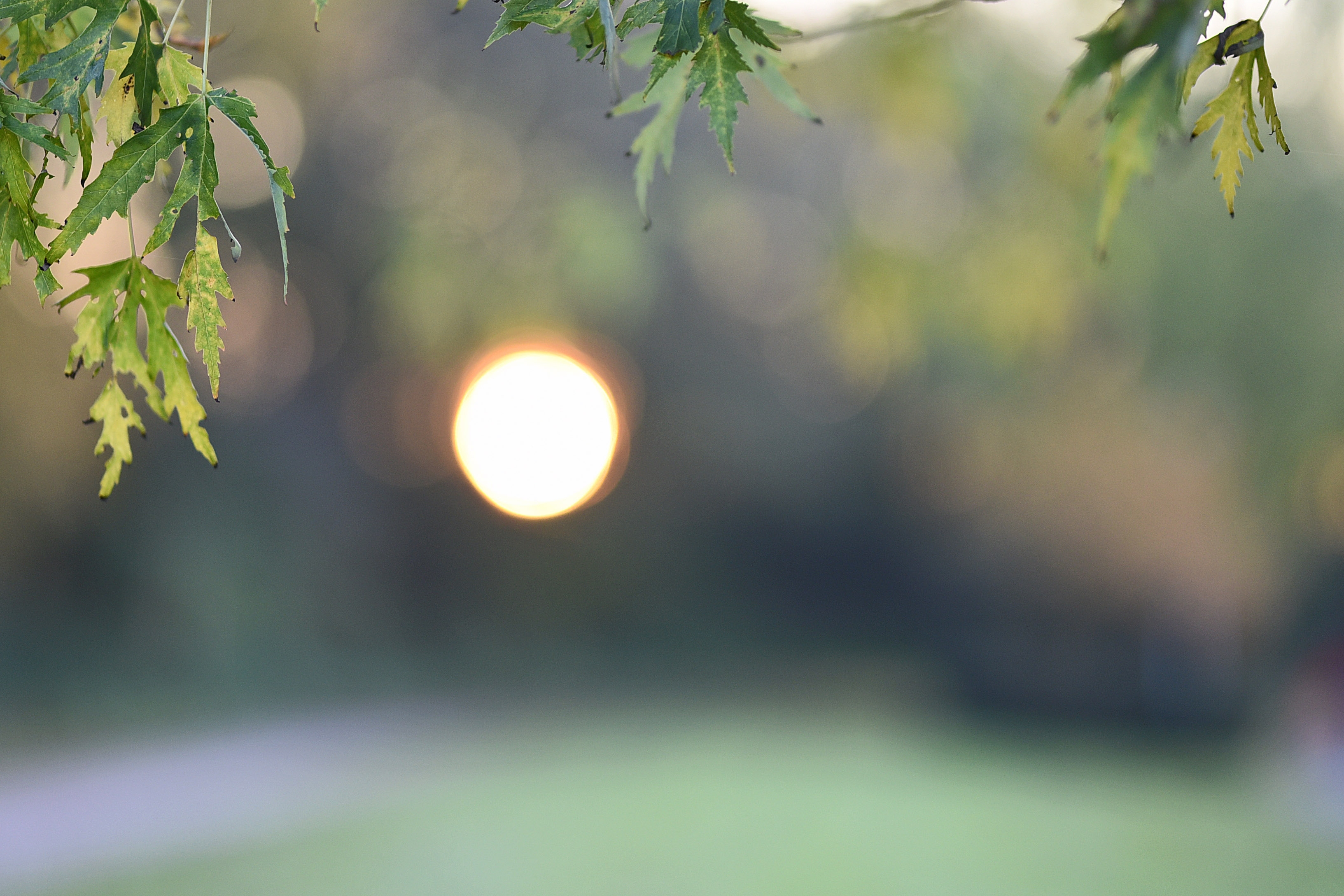 Ambiente-Foto Herbst