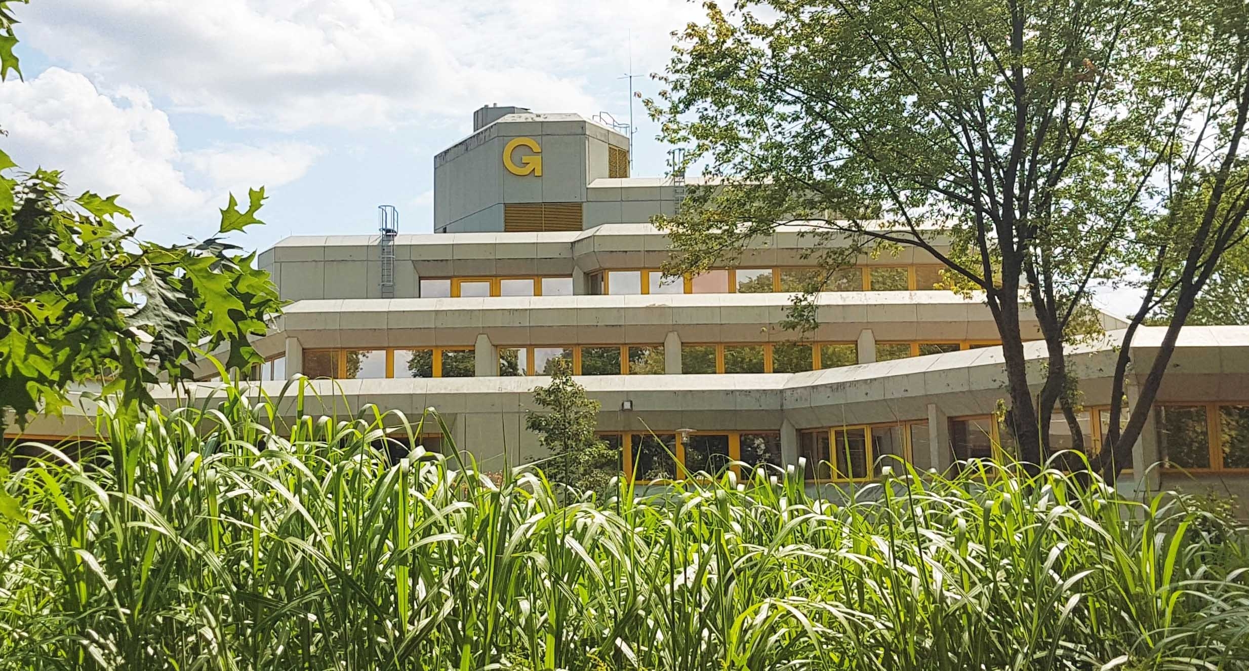 Ambientefoto Rathaus