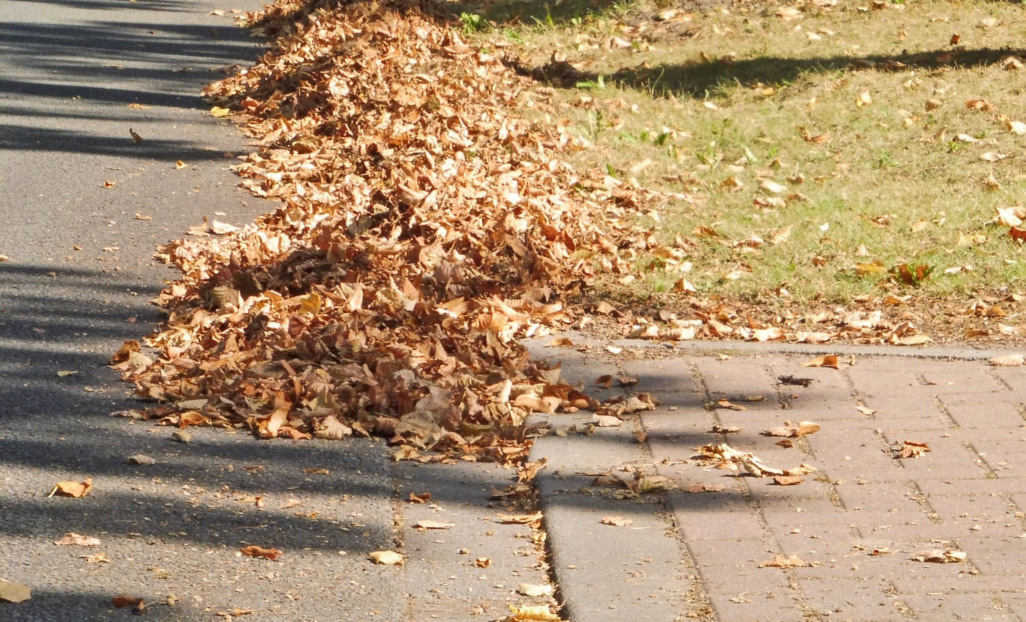 Sie sehen einen Straßenrand an dem ganz viel Laub liegt.