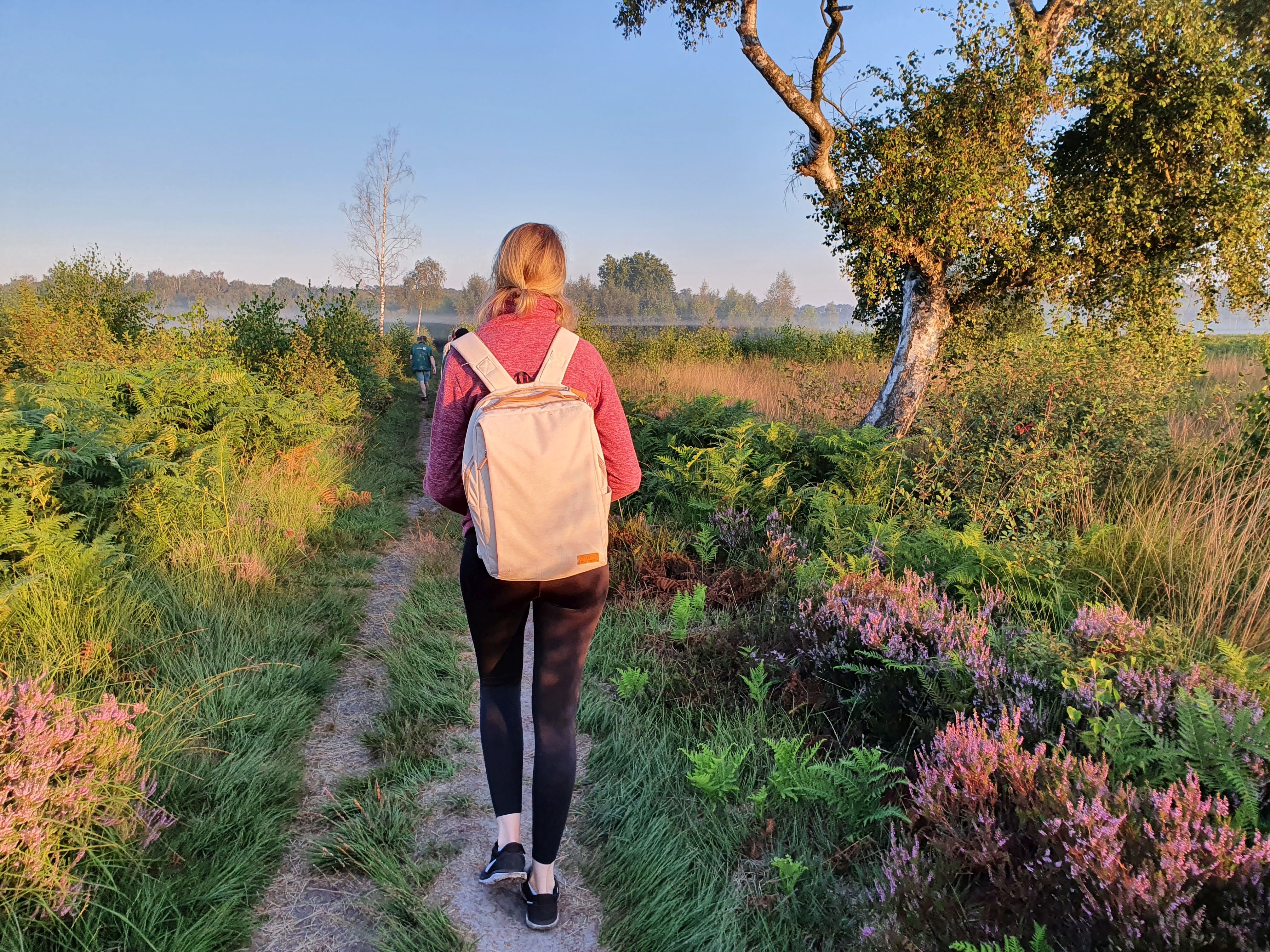 Frau wandert durch eine Moorlandschaft