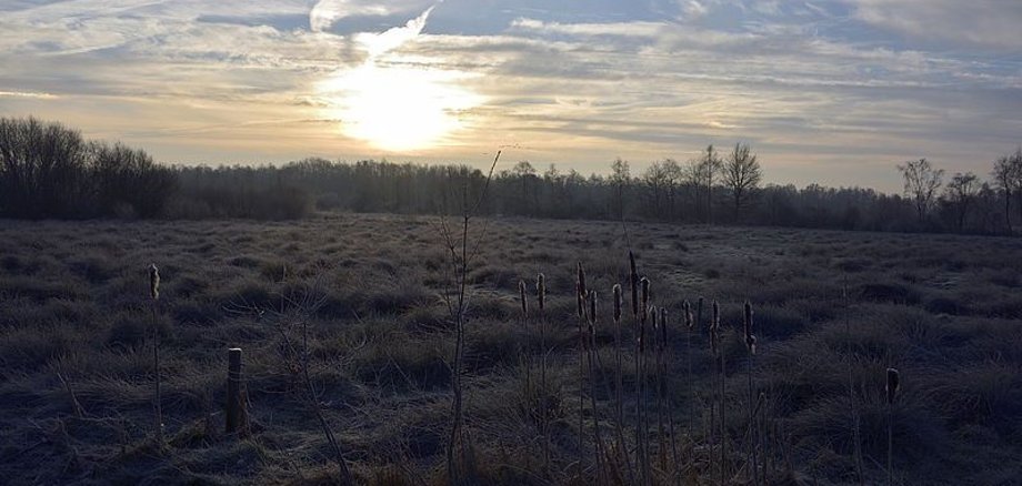 Amtsvenn Landschaft