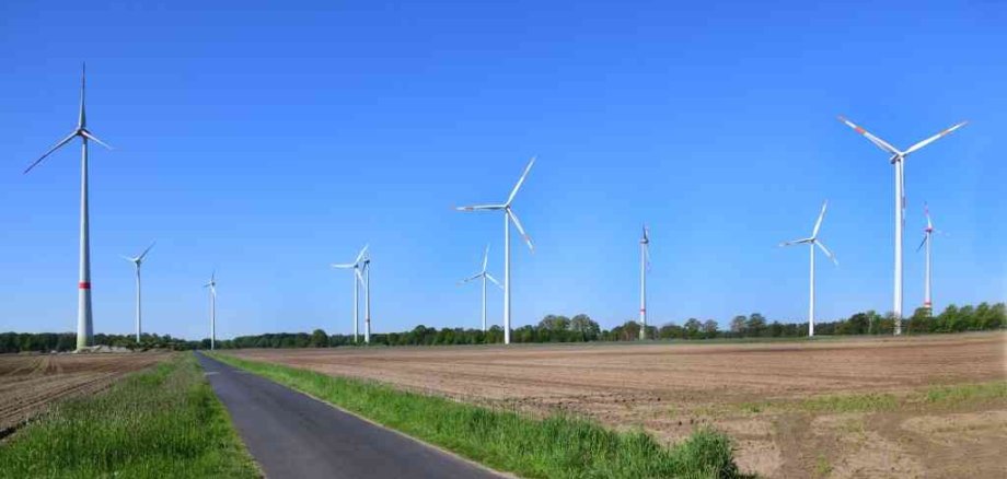 Blick zum Windpark Lasterfeld