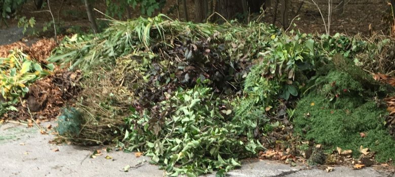 Laubsammelstelle mit Grünabfall