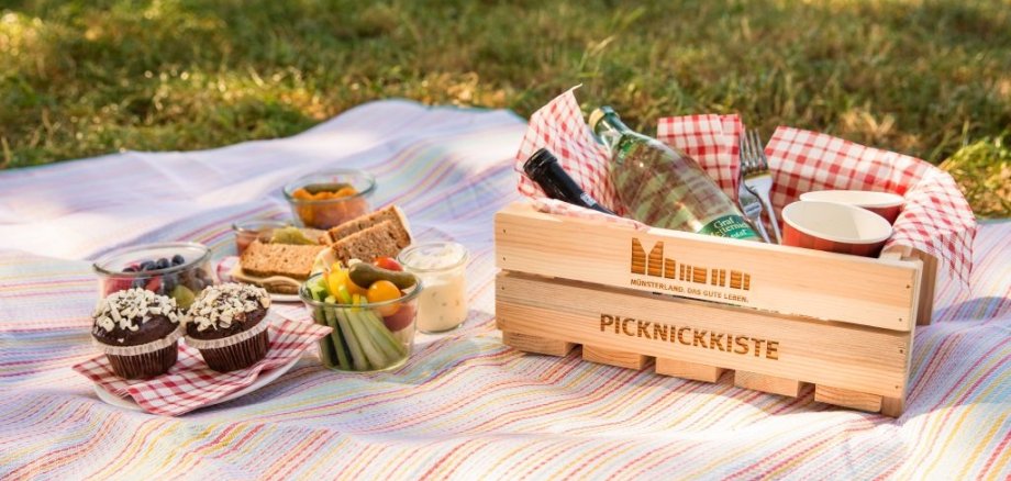 Alpakawanderung mit Picknick