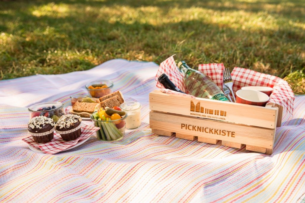 Alpakawanderung mit Picknick