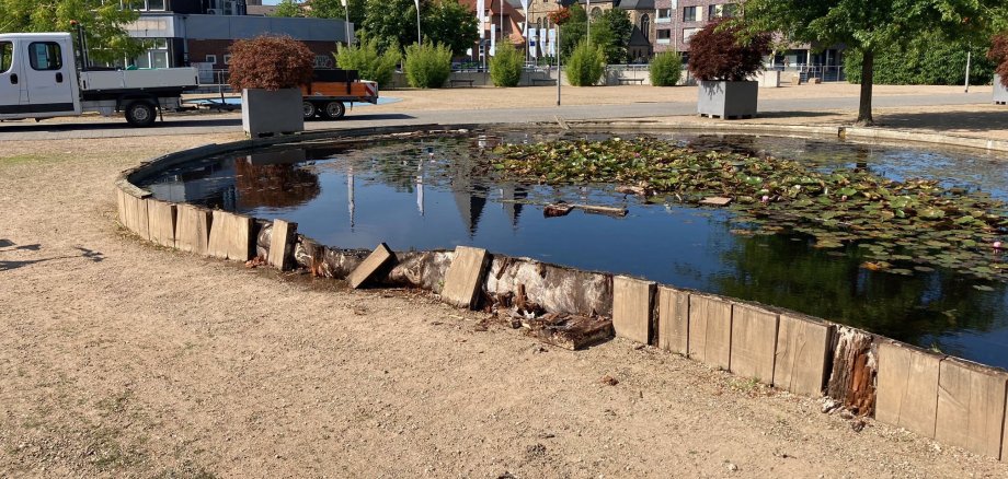 Das beschädigte Seerosenbecken.