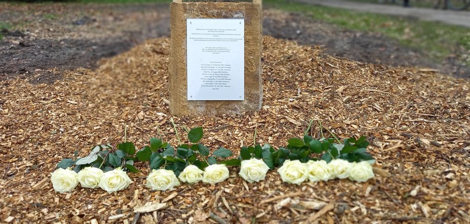 Der Gedenkstein für die Opfer des NSU mit weißen Rosen davor.