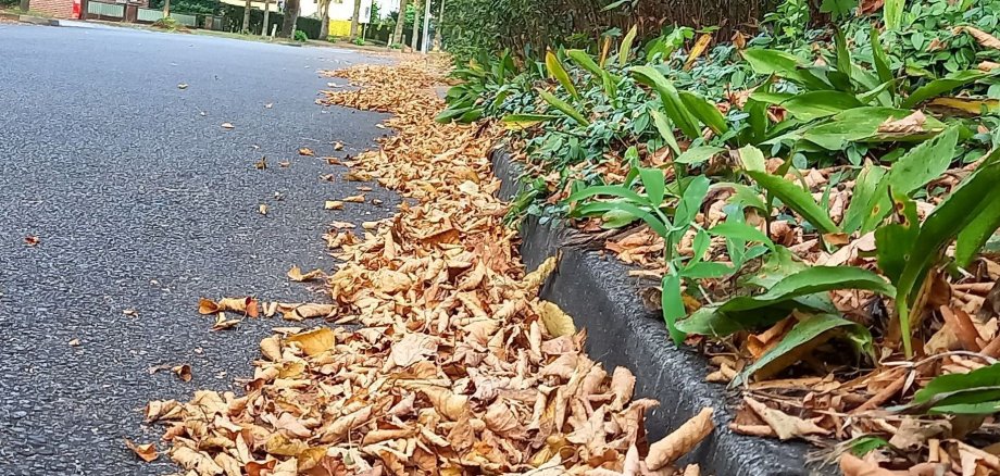 Laub auf einer Straße