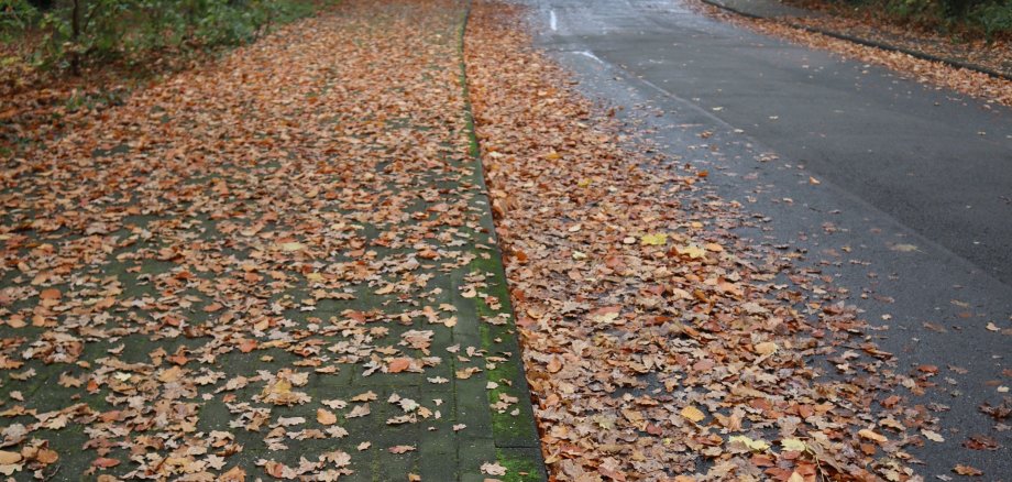 Herbstlaub in einer Straße