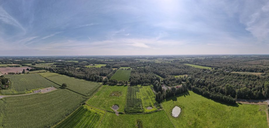 Luftaufnahme von Feldern und Wäldern.