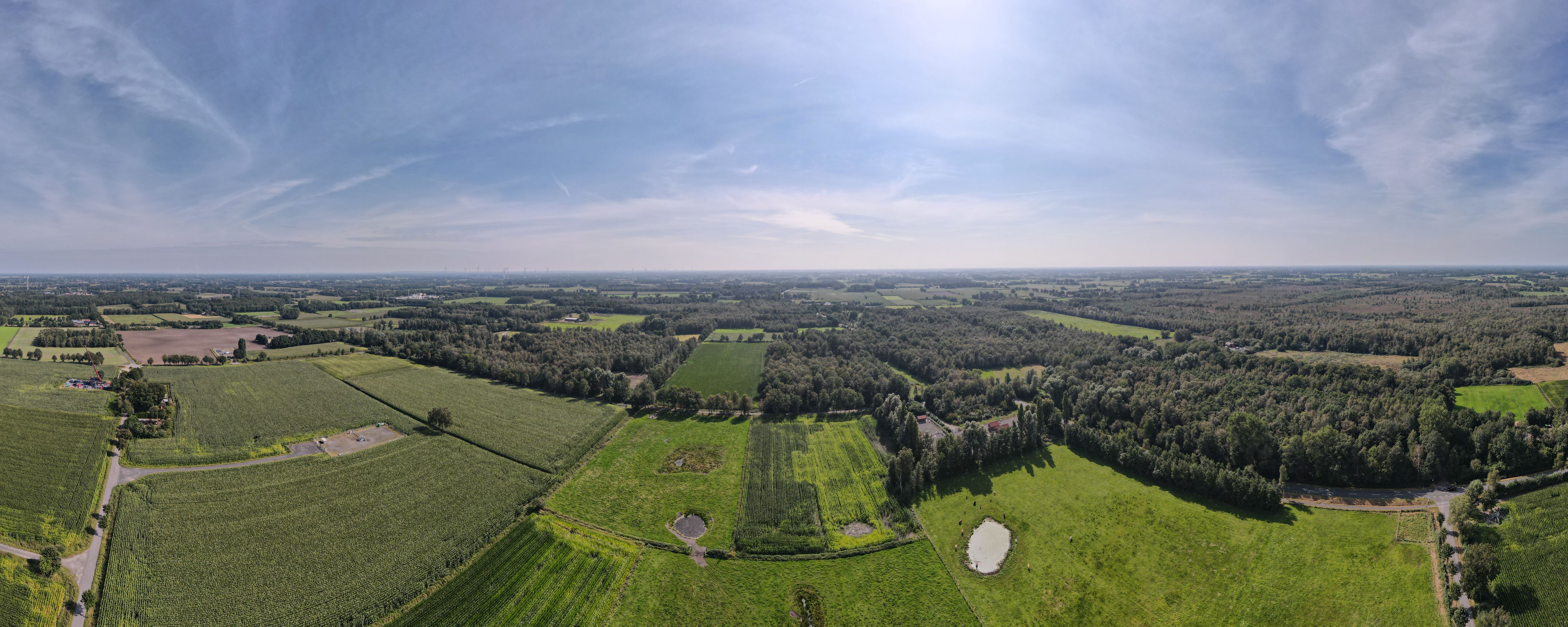 Luftbild von grünen Flächen