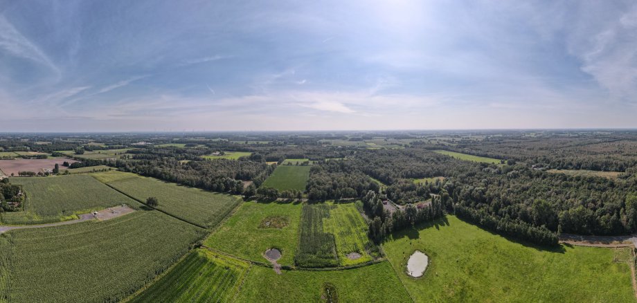 Luftbild von grünen Flächen