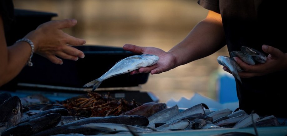 Fischhändler auf dem Markt