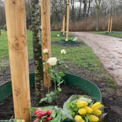 Blumen an der Allee des Friedens.