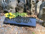 Der Gedenkstein der Stadt Gronau. Der Gedenkstein der Stadt Gronau.