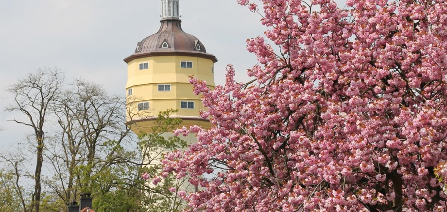 Wasserturm mit Blumen