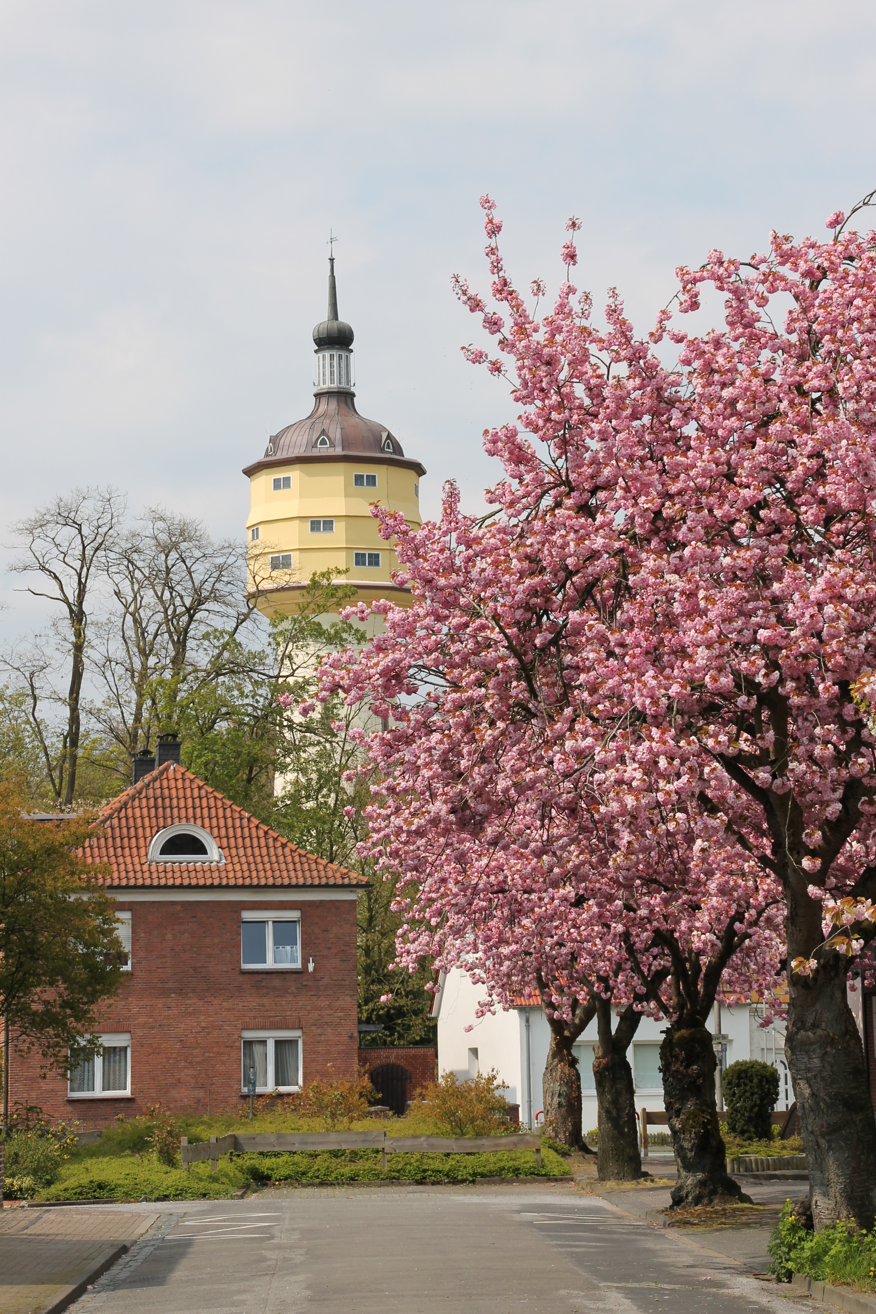 Wasserturm mit Blumen