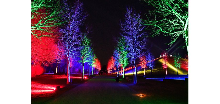 Nachteinblicke, Bäume werden in vielen bunten Farben beleuchtet.