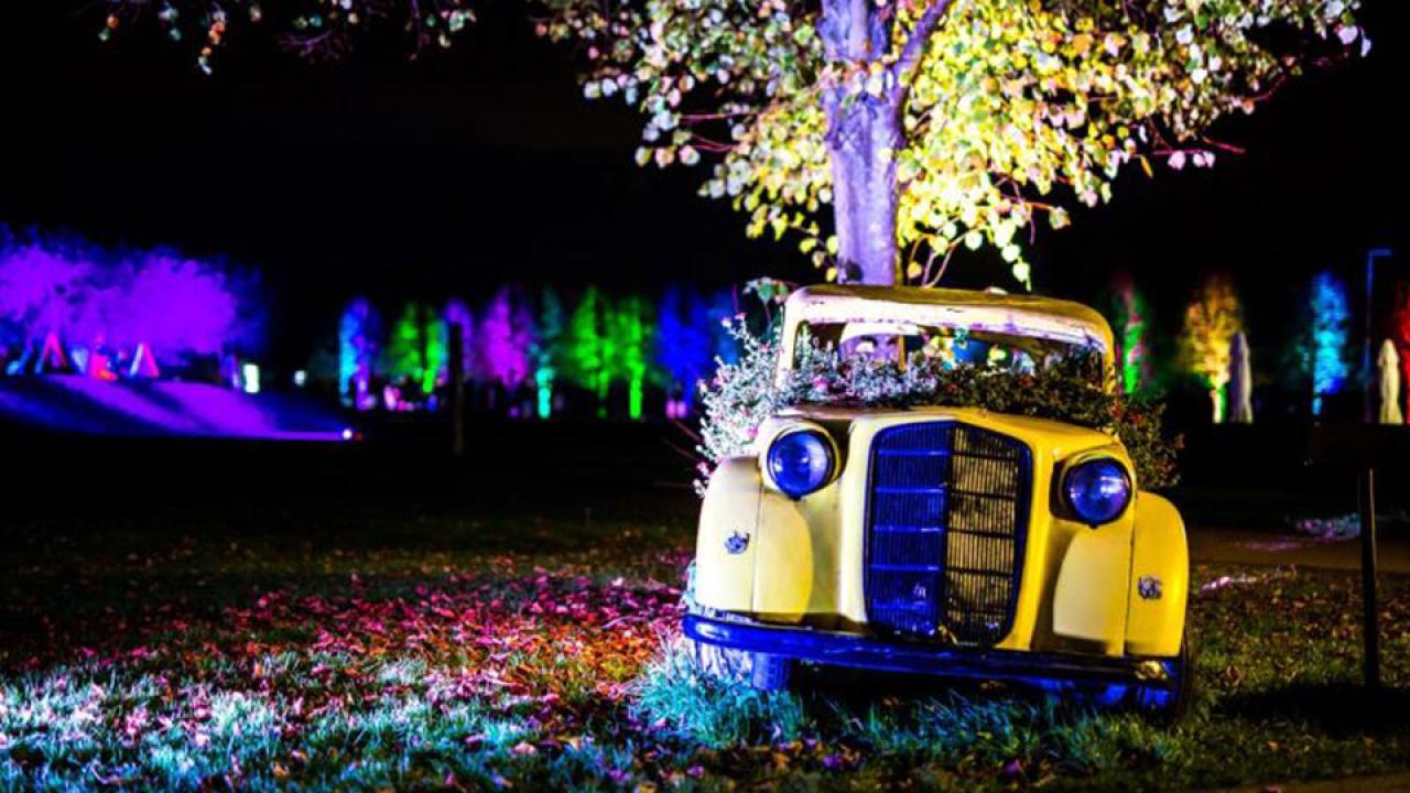 Herbstleuchten im Brückenkopf-Park