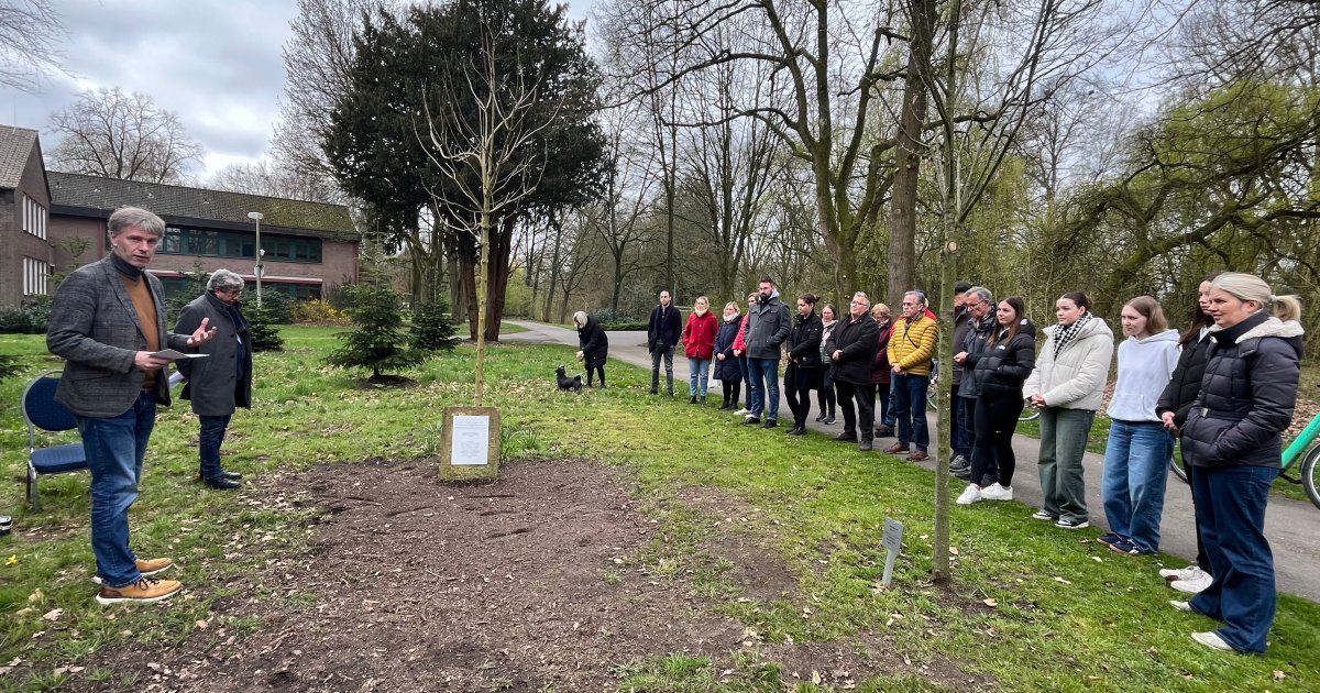 Gedenkstätte „10+1 Bäume“ im Gronauer Stadtpark Stadt Gronau