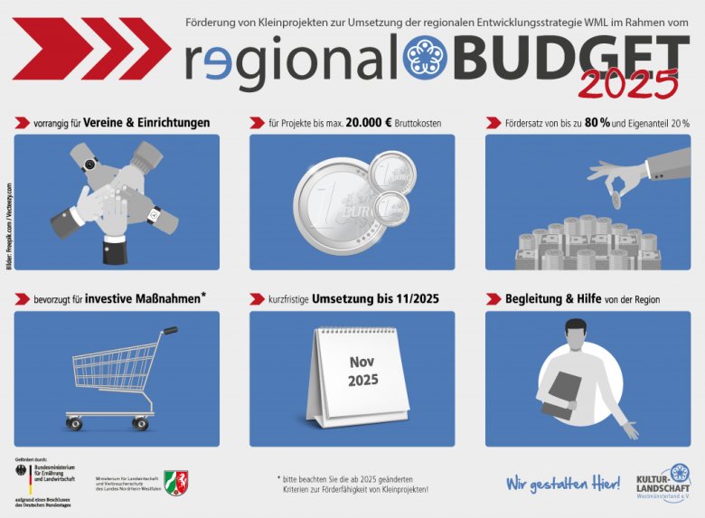 Eine Infografik zum Regionalbudget.