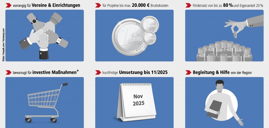 Eine Infografik zum Regionalbudget.