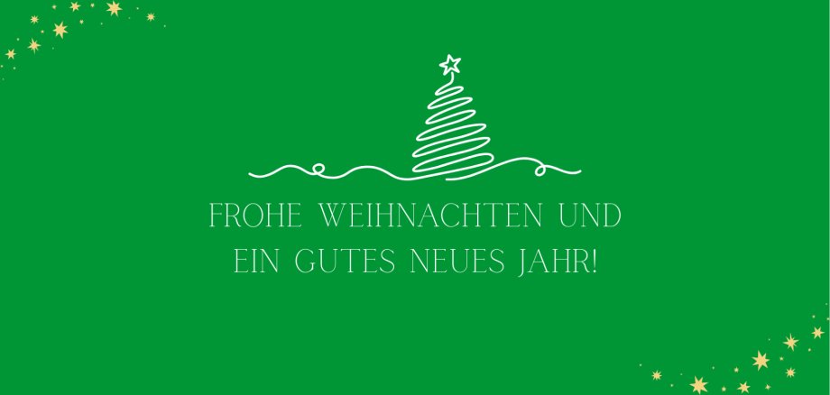 Frohe Weihnachten und ein gutes neues Jahr!